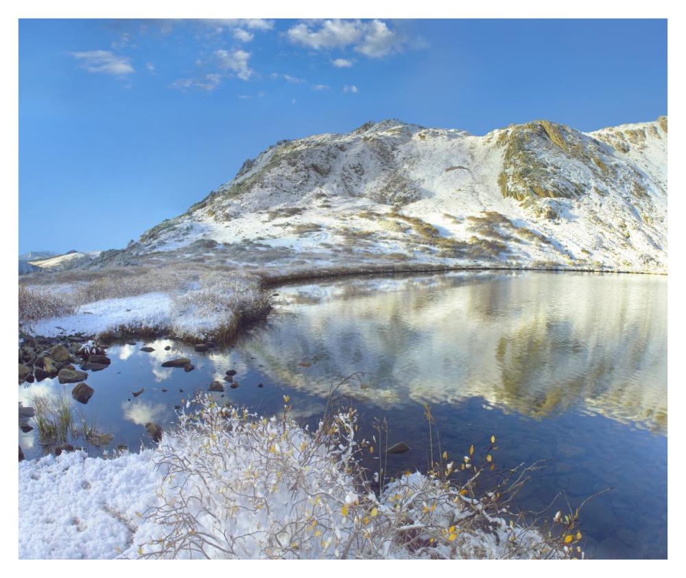 Pond And Geissler Mountain, Linkins Lake, Colorado-Paper Art-38,,X31.88,,