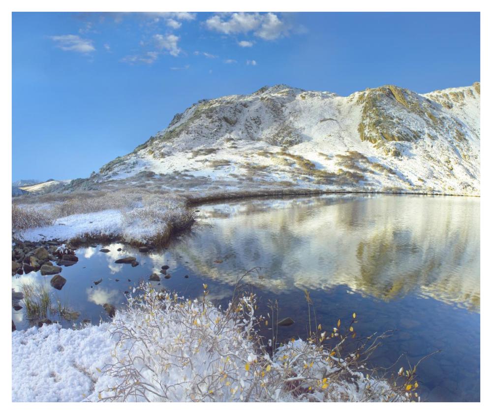 Pond And Geissler Mountain, Linkins Lake, Colorado-Paper Art-42,,X35.2,,