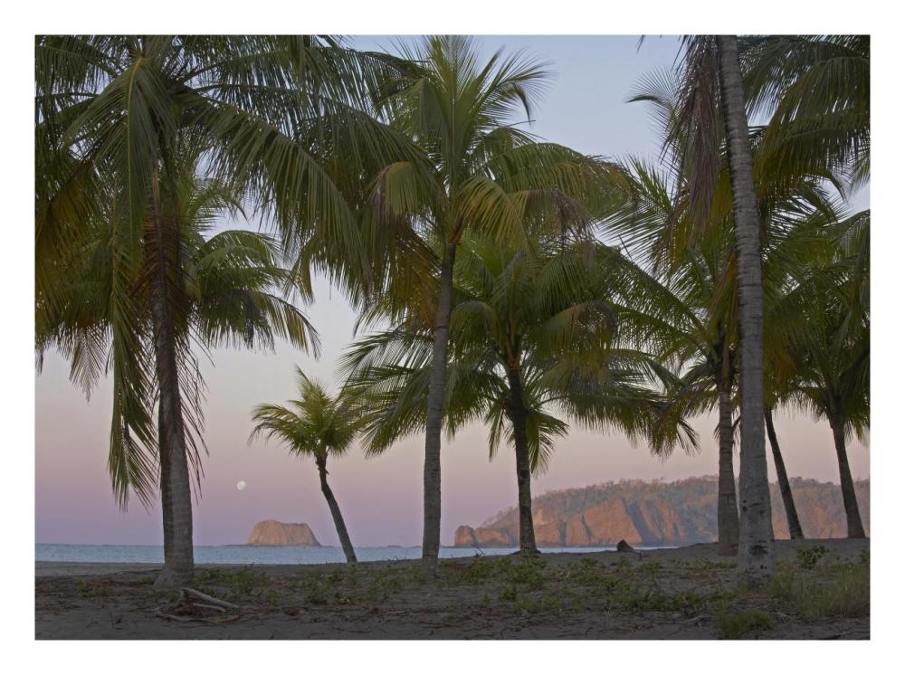 Moon Setting, Playa Carillo, Guanacaste, Costa Rica-Paper Art-26,,X20,,