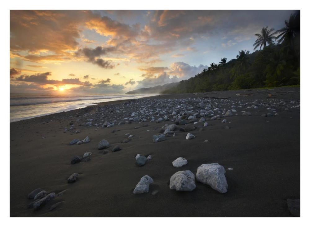 Rocks On Beach, Corcovado National Park, Costa Rica-Paper Art-32,,X23.3,,