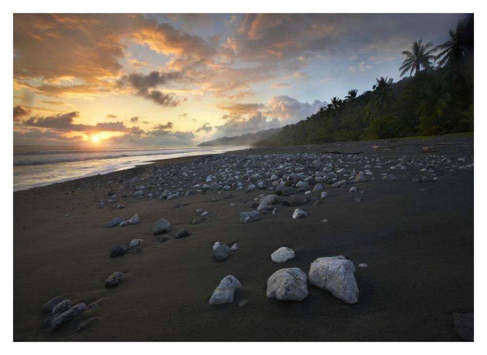 Rocks On Beach, Corcovado National Park, Costa Rica-Paper Art-38,,X27.56,,