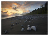 Rocks On Beach, Corcovado National Park, Costa Rica-Paper Art-38,,X27.56,,