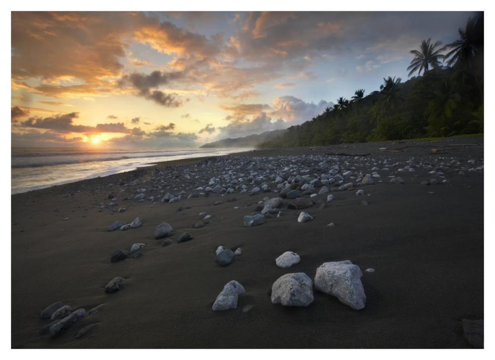 Rocks On Beach, Corcovado National Park, Costa Rica-Paper Art-46,,X33.24,,