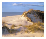 Coastal Sand Dunes, Saint Joseph Peninsula, Florida-Paper Art-24,,X20.26,,