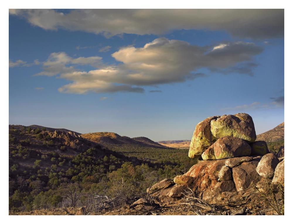 Rockpile, Davis Mountains, Chihuahuan Desert, Texas-Paper Art-34,,X26,,