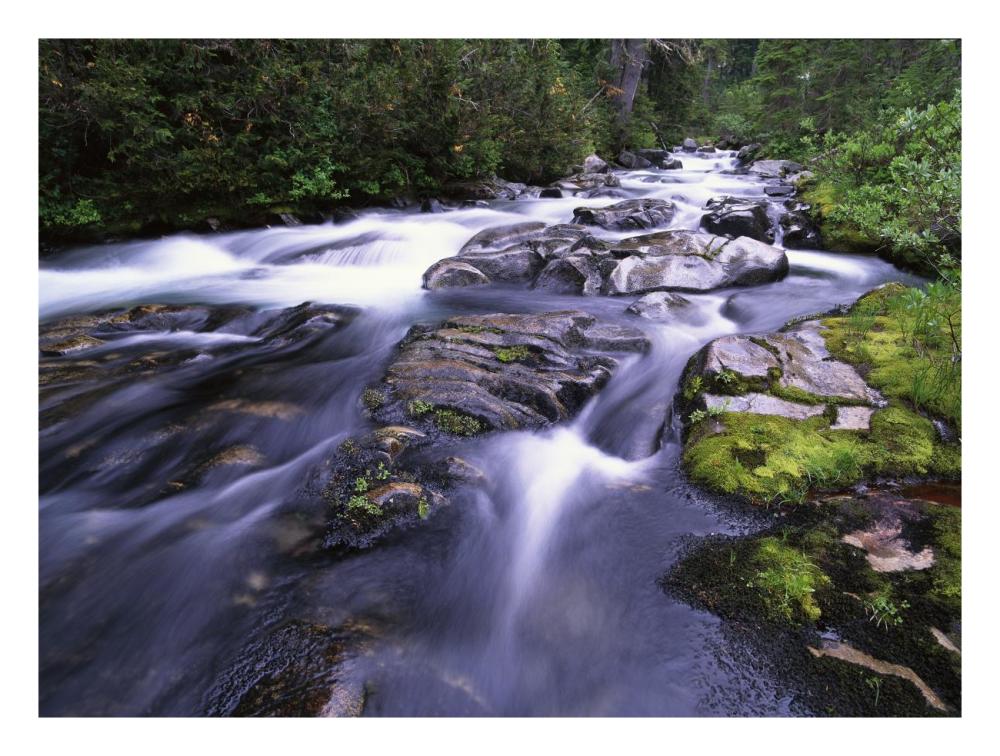 Paradise River, Mt Rainier National Park, Washington-Paper Art-26,,X20,,