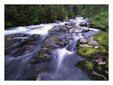 Paradise River, Mt Rainier National Park, Washington-Paper Art-26,,X20,,