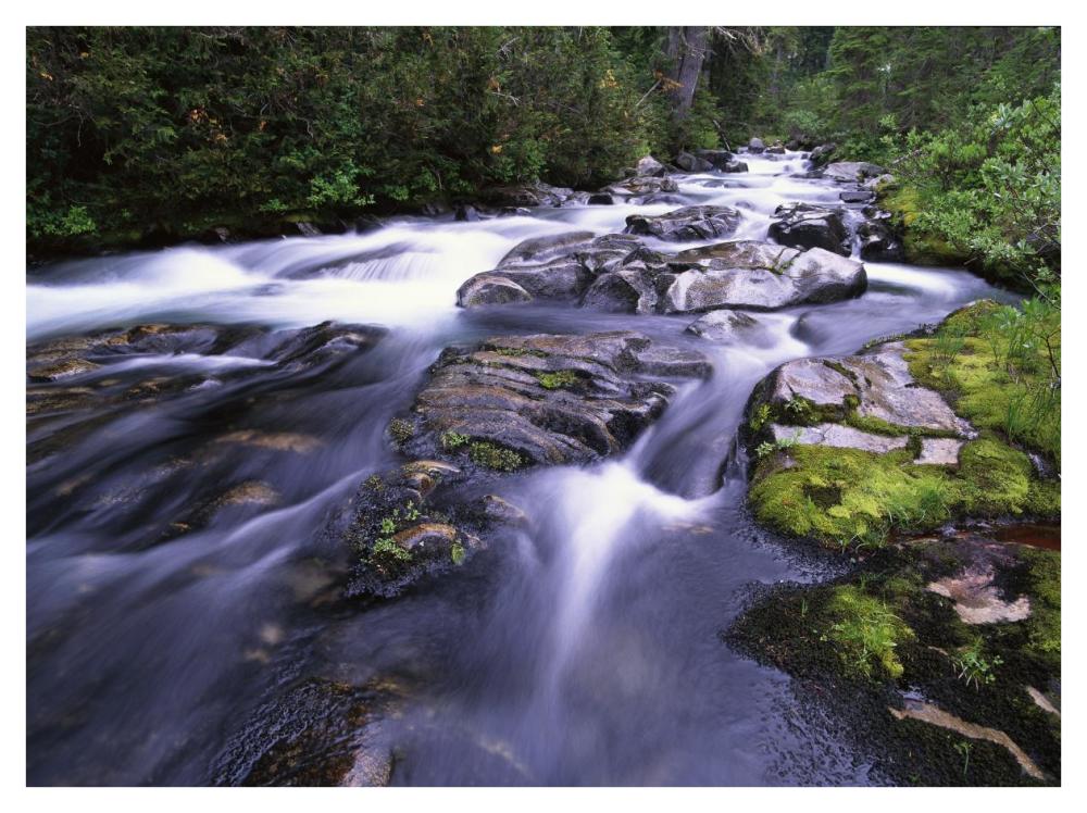 Paradise River, Mt Rainier National Park, Washington-Paper Art-42,,X32,,