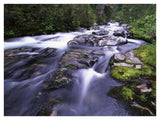 Paradise River, Mt Rainier National Park, Washington-Paper Art-42,,X32,,