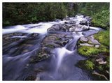 Paradise River, Mt Rainier National Park, Washington-Paper Art-50,,X38,,