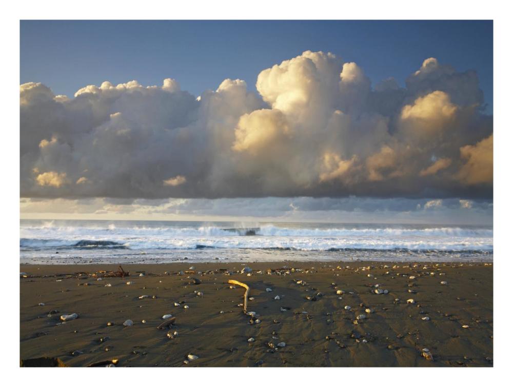 Beach And Waves, Corcovado National Park, Costa Rica-Paper Art-26,,X20,,