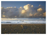 Beach And Waves, Corcovado National Park, Costa Rica-Paper Art-42,,X32,,
