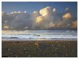 Beach And Waves, Corcovado National Park, Costa Rica-Paper Art-50,,X38,,