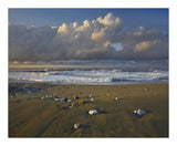 Beach And Waves, Corcovado National Park, Costa Rica-Paper Art-22,,X18,,