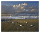 Beach And Waves, Corcovado National Park, Costa Rica-Paper Art-30,,X24,,