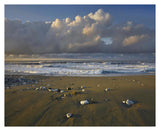 Beach And Waves, Corcovado National Park, Costa Rica-Paper Art-37,,X30,,