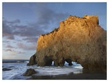 Natural Bridge On El Matador State Beach, California-Paper Art-50,,X38,,