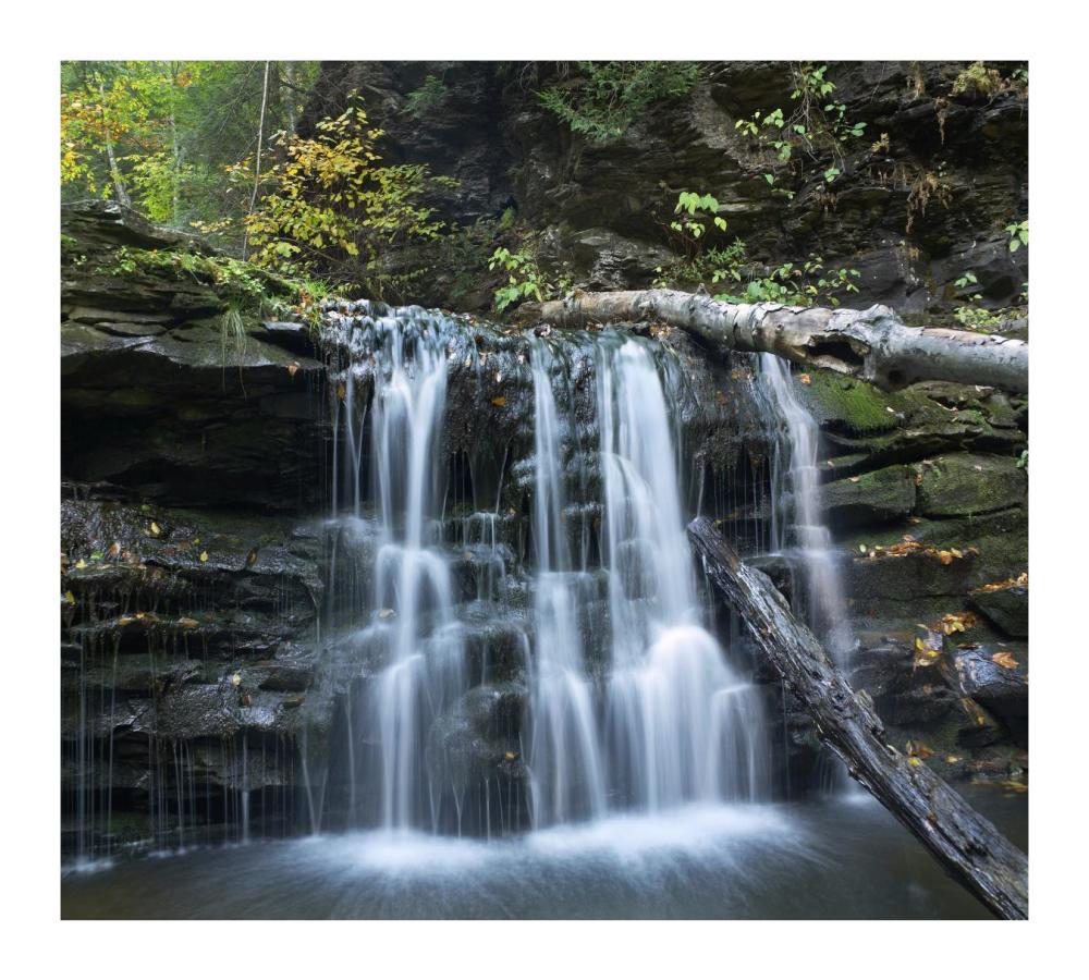 Seneca Falls, Ricketts Glen State Park, Pennsylvania-Paper Art-18,,X16.24,,