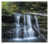 Seneca Falls, Ricketts Glen State Park, Pennsylvania-Paper Art-32,,X28.7,,