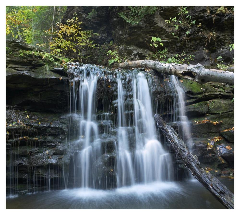 Seneca Falls, Ricketts Glen State Park, Pennsylvania-Paper Art-42,,X37.6,,