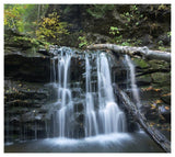 Seneca Falls, Ricketts Glen State Park, Pennsylvania-Paper Art-46,,X41.16,,