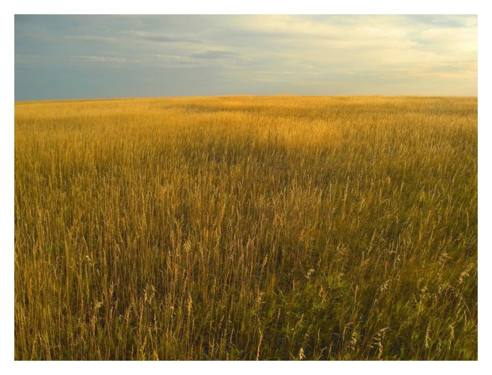 Upper Prairie In Badlands National Park, South Dakota-Paper Art-18,,X14,,
