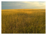 Upper Prairie In Badlands National Park, South Dakota-Paper Art-34,,X26,,