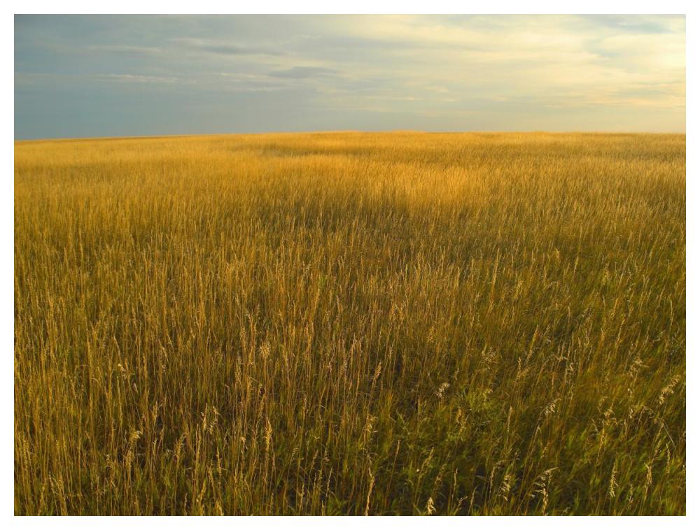 Upper Prairie In Badlands National Park, South Dakota-Paper Art-50,,X38,,