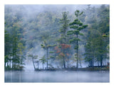 Emerald Lake In Fog, Emerald Lake State Park, Vermont-Paper Art-26,,X20,,