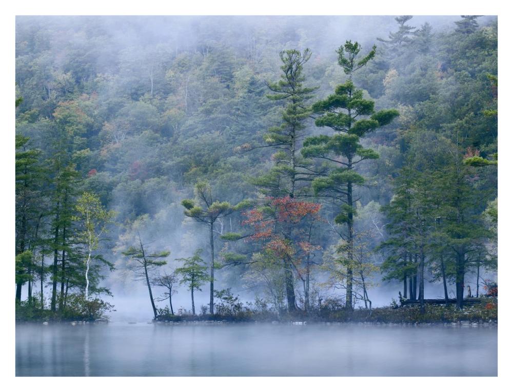 Emerald Lake In Fog, Emerald Lake State Park, Vermont-Paper Art-34,,X26,,