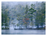 Emerald Lake In Fog, Emerald Lake State Park, Vermont-Paper Art-34,,X26,,
