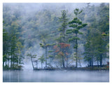 Emerald Lake In Fog, Emerald Lake State Park, Vermont-Paper Art-42,,X32,,