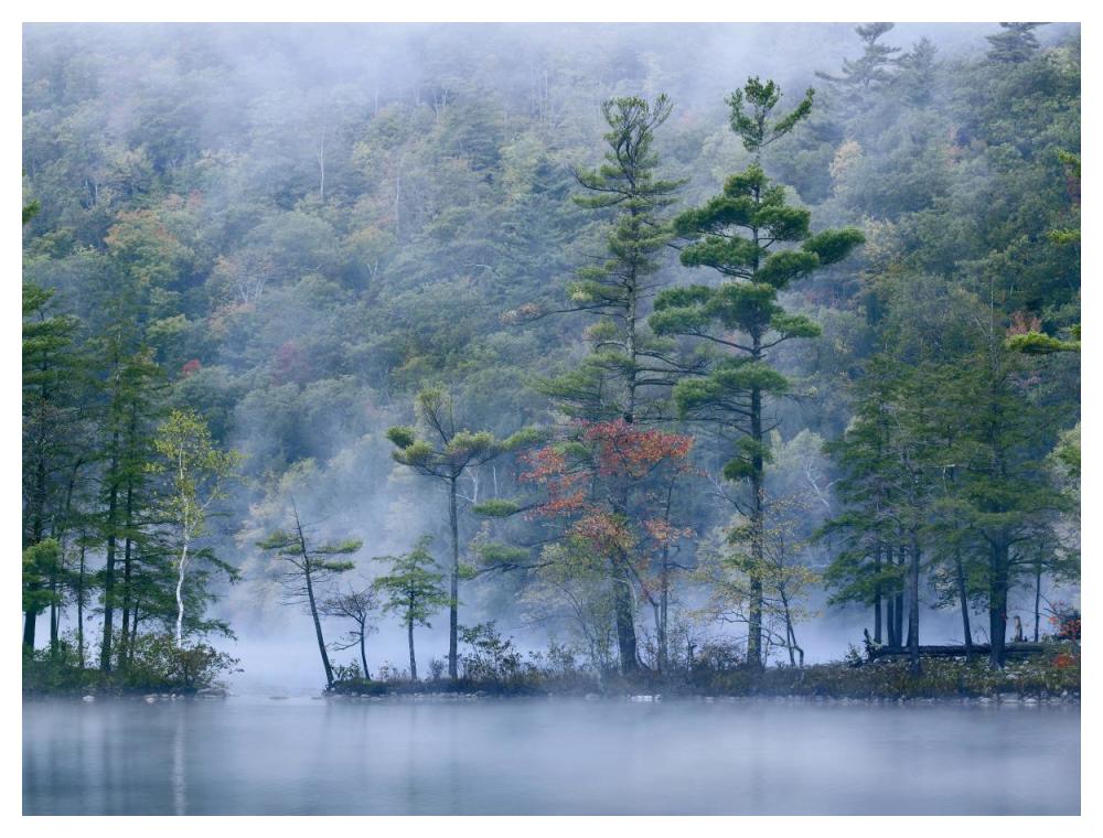 Emerald Lake In Fog, Emerald Lake State Park, Vermont-Paper Art-50,,X38,,