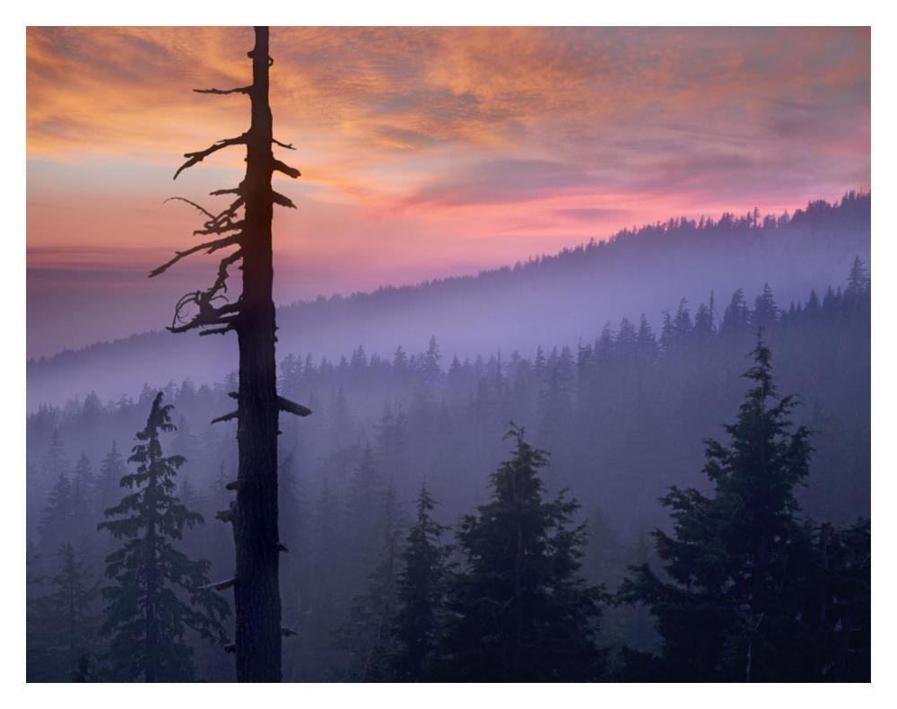 Sunset Over Forest, Crater Lake National Park, Oregon-Paper Art-18,,X14,,