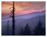Sunset Over Forest, Crater Lake National Park, Oregon-Paper Art-18,,X14,,