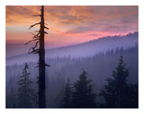 Sunset Over Forest, Crater Lake National Park, Oregon-Paper Art-26,,X20,,