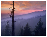 Sunset Over Forest, Crater Lake National Park, Oregon-Paper Art-50,,X38,,