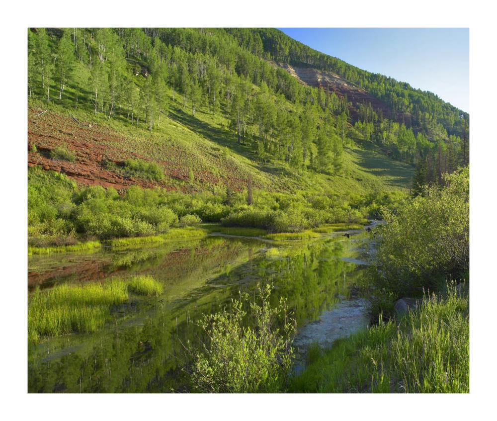 Rico Mountains And Dolores River Backwaters, Colorado-Paper Art-18,,X15.28,,