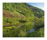 Rico Mountains And Dolores River Backwaters, Colorado-Paper Art-18,,X15.28,,