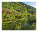 Rico Mountains And Dolores River Backwaters, Colorado-Paper Art-24,,X20.26,,
