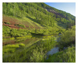 Rico Mountains And Dolores River Backwaters, Colorado-Paper Art-32,,X26.9,,