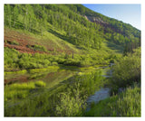 Rico Mountains And Dolores River Backwaters, Colorado-Paper Art-38,,X31.88,,