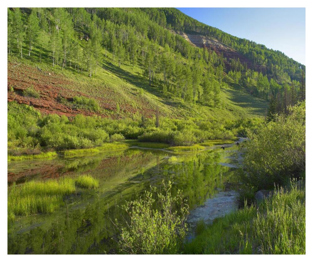 Rico Mountains And Dolores River Backwaters, Colorado-Paper Art-42,,X35.2,,