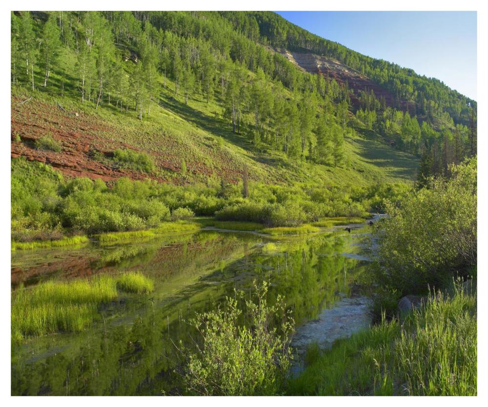 Rico Mountains And Dolores River Backwaters, Colorado-Paper Art-46,,X38.52,,