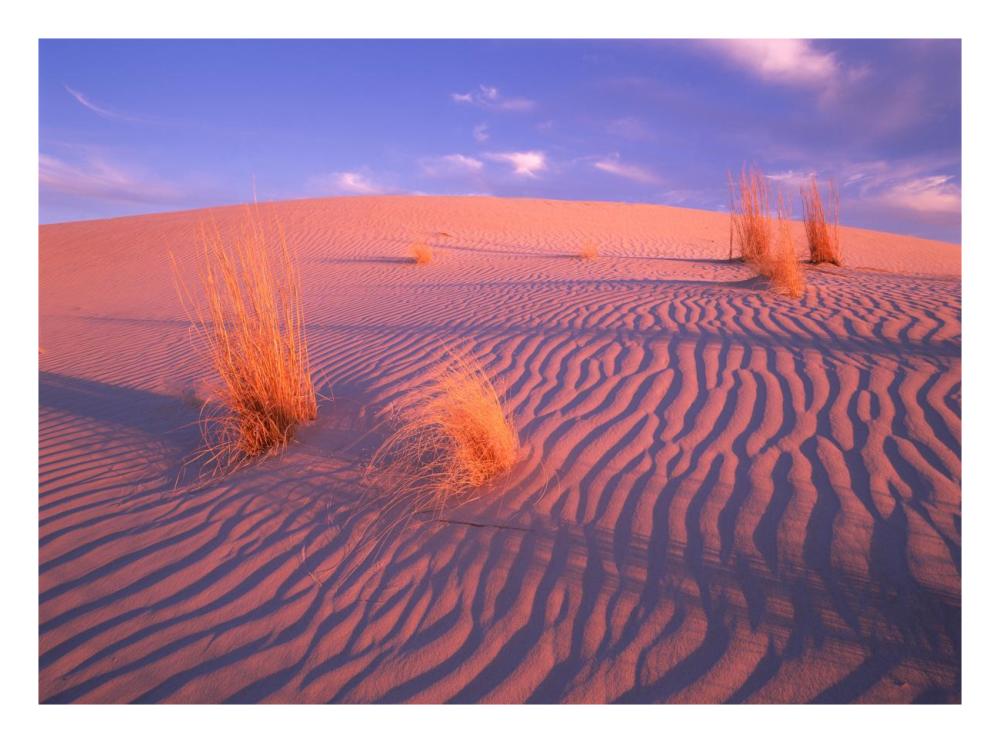 Gypsum Dunes, Guadalupe Mountains National Park, Texas-Paper Art-26,,X20,,