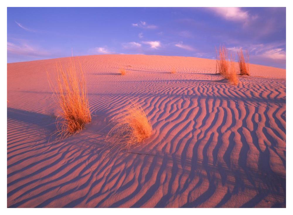 Gypsum Dunes, Guadalupe Mountains National Park, Texas-Paper Art-42,,X32,,