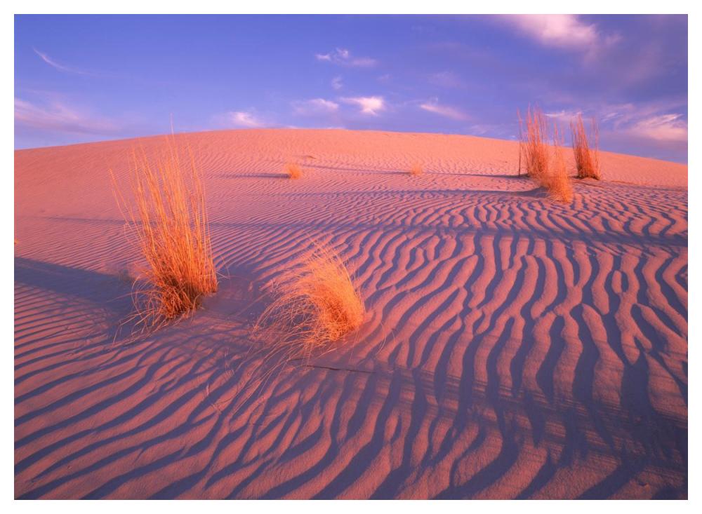 Gypsum Dunes, Guadalupe Mountains National Park, Texas-Paper Art-50,,X38,,
