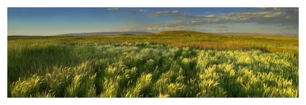 Grasslands, Arapaho National Wildlife Refuge, Colorado-Paper Art-42,,X14.4,,