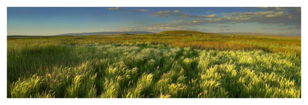 Grasslands, Arapaho National Wildlife Refuge, Colorado-Paper Art-46,,X15.64,,