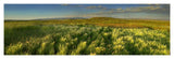 Grasslands, Arapaho National Wildlife Refuge, Colorado-Paper Art-46,,X15.64,,